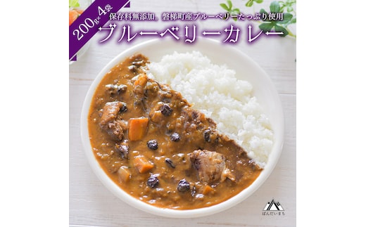 ブルーベリーカレー