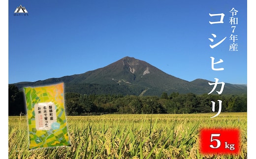 【令和7年産米】会津・磐梯町産コシヒカリ 5kg ｜日本名水百選の名水育ち｜精米したてを直送｜冷めてもおいしい人気米｜一等米