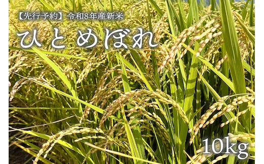 【先行予約】【令和8年産・新米】ひとめぼれ10kg 磐梯町の名水で育ったひとめぼれ 10月上旬発送 会津産 磐梯町産 福島県産 精米