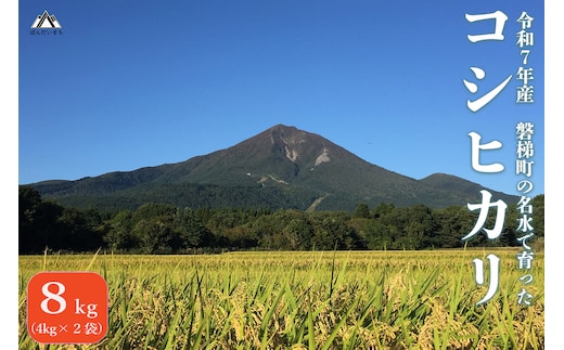 【令和7年産米】コシヒカリ8kg 磐梯町の名水で育ったコシヒカリ スピード発送 精米