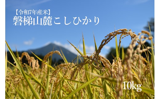 【数量限定】令和7年産コシヒカリ 10kg 磐梯山麓こしひかり 精米 発送時期3月下旬から