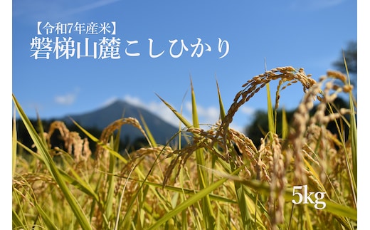 【数量限定】令和7年産コシヒカリ 5kg 磐梯山麓こしひかり 精米 発送時期3月下旬から