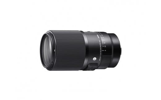 SIGMA 105mm F2.8 DG DN MACRO｜Art【ソニーEマウント】