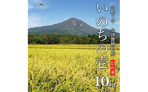 【令和7年産・新米】幻の米 いのちの壱 特別栽培米 10kg【減農薬・減化学肥料】