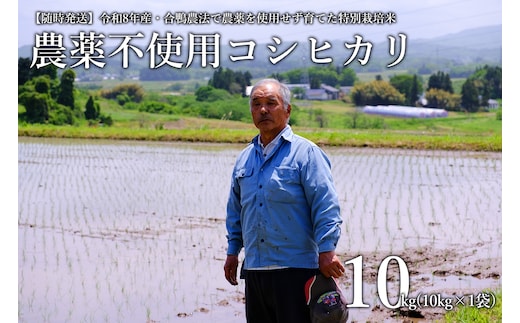 【令和8年産・新米】【農薬不使用】コシヒカリ 合鴨農法 10kg(特別栽培米、旧名：会津磐梯山宝米） 