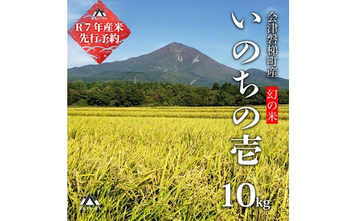 【令和7年産・新米】幻の米 いのちの壱 特別栽培米 10kg【減農薬・減化学肥料】