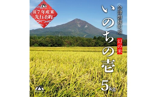 【令和7年産・新米】幻の米 いのちの壱 特別栽培米 5kg【減農薬・減化学肥料】