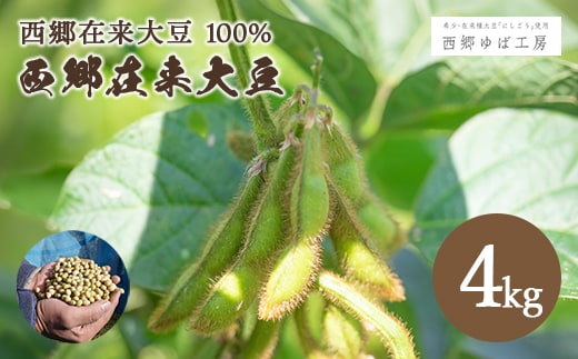 にしごう在来大豆 4kg 大豆 無農薬 無化学肥料 甘み 大粒 コク 栄養 福島県 西郷村 東北 【07461-0283】