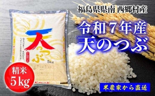 新米先行予約！＜令和7年産＞天のつぶ 精米5kg 一等米!【07461-0005】