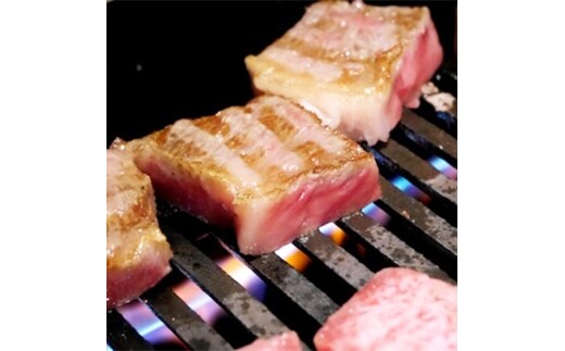 福島牛＜A5ランク＞ サーロインステーキ用 2枚入り【07461-0048】