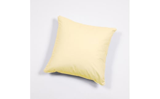 羽毛たっぷりで快適おうち時間!フェザークッション45(45cm角)【07461-0086】