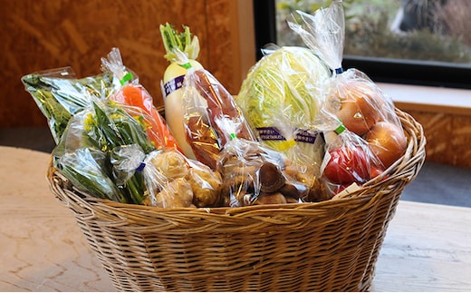 【こころん】 安全・安心 福島の恵み 『季節の野菜詰合せ』 セット 朝採れ 福島県産 新鮮 