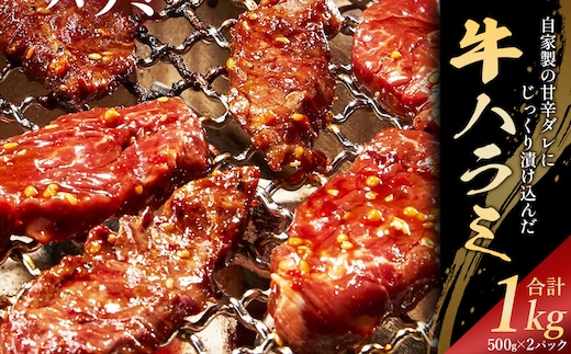 自家製甘辛ダレ牛ハラミ 1kg（500g×2パック） 【07521-0138】