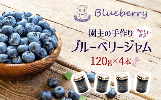 ブルーベリージャム120g×4本【福島県三春町 かおるブルーベリー園産使用） 【07521-0146】