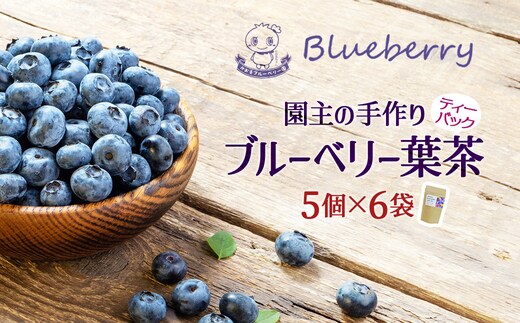 ブルーベリー葉茶1袋（2g×5個)×6袋 【福島県三春町 かおるブルーベリー園産使用】 【07521-0149】