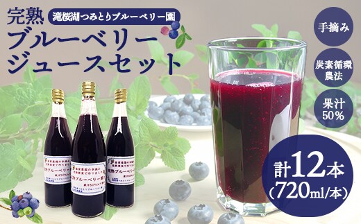 完熟ブルーベリージュース720ml×12本（福島県三春町産） 【07521-0171】