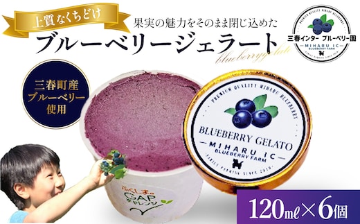 ブルーベリー ジェラート（三春町産）120ml×6個 【07521-0173】
