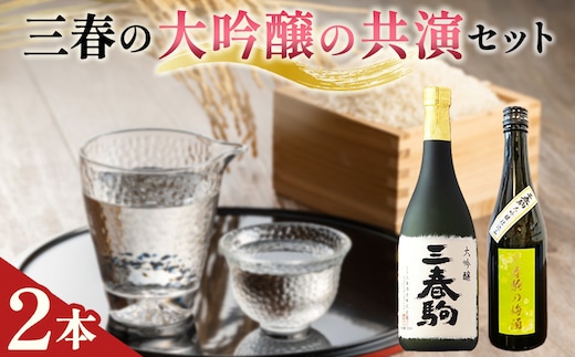 大吟醸の共演セット（三春駒 大吟醸 720ml・三春駒の梅酒 500ml） 【地酒 さけ 日本酒 大吟醸 清酒 アルコール リキュール 梅酒 白加賀梅 瓶 お中元 父の日 ギフト プレゼント 贈り物 贈答 お祝い ご自宅用】【07521-0199】