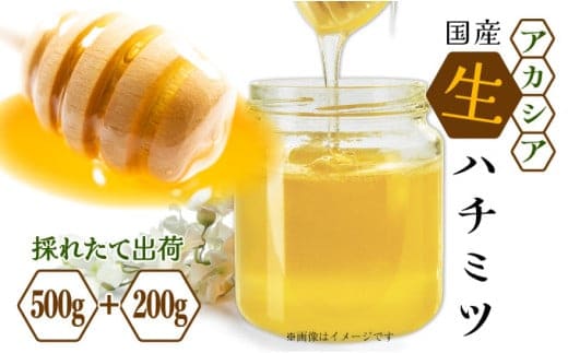 【ふるさと納税】三春町産 力男のはちみつ【大瓶小瓶詰合せ アカシア ハチミツ 生はちみつ 無添加 採りたて 天然 非加熱 国産 免疫力 美肌 免疫 腸内フローラ 疲労回復 デザート】【07521-0010】