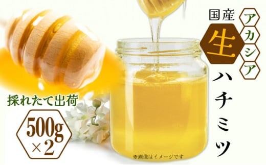 【ふるさと納税】三春町産 力男のはちみつ【大瓶詰合せ アカシア ハチミツ 生はちみつ 無添加 採りたて 天然 非加熱 国産 免疫力 美肌 免疫 腸内フローラ 疲労回復 デザート】 【07521-0032】