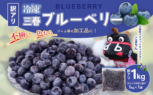 【訳アリ】三春冷凍ブルーベリー 1kg×1袋 【三春町産 冷凍ブルーベリー 大粒 福島県 三春町 三春ブルーベリー倶楽部 有機質肥料 果物 国産 フルーツ 果実 自宅用】【07521-0109】
