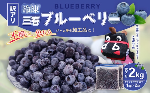 【訳アリ】三春冷凍ブルーベリー 1kg×2袋／計2kg【三春町産 冷凍ブルーベリー 大粒 福島県 三春町 三春ブルーベリー倶楽部 有機質肥料 果物 国産 フルーツ 果実 旬】 【07521-0110】