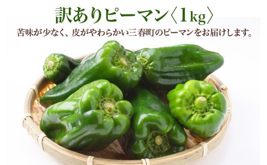 【先行予約】訳ありピーマン 1kg【2026年7月発送】 【07521-0140】