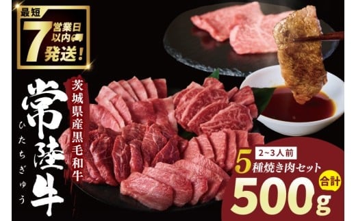 常陸牛5種焼肉セット希少部位入り (２~３人前 500g）【常陸牛 国産牛 和牛 牛肉 切り落とし 焼肉セット 希少部位 茨城県 水戸市】（NW-12）