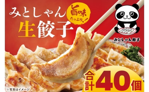 旨味たっぷり！本場プロの中華料理人が作る みとしゃん生餃子 40個【香香 シャンシャン 中華 人気 老舗 焼き餃子 冷凍 ぎょうざ ギョーザ シューマイ簡単調理 惣菜 おかず 水戸市 茨城県】（CS-2）