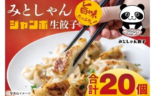 旨味たっぷり！本場プロの中華料理人が作る みとしゃんジャンボ餃子 20個【香香 シャンシャン 中華 人気 老舗 焼き餃子 冷凍 ぎょうざ ギョーザ シューマイ簡単調理 惣菜 おかず 水戸市 茨城県】（CS-4）