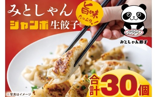 旨味たっぷり！本場プロの中華料理人が作る みとしゃんジャンボ餃子 30個【香香 シャンシャン 中華 人気 老舗 焼き餃子 冷凍 ぎょうざ ギョーザ シューマイ簡単調理 惣菜 おかず 水戸市 茨城県】（CS-5）
