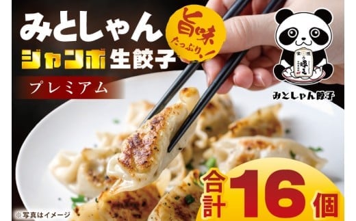 旨味たっぷり！本場プロの中華料理人が作る みとしゃんジャンボ餃子プレミアム 16個【香香 シャンシャン 中華 人気 老舗 焼き餃子 冷凍 ぎょうざ ギョーザ シューマイ簡単調理 惣菜 おかず 水戸市 茨城県】（CS-8）