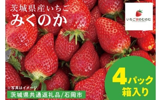 【数量限定】【離島配送不可】みくのか 4パック/箱【茨城県共通返礼品/石岡市】【いちご イチゴ 苺 果物 くだもの フルーツ 茨城県】（LX-8）