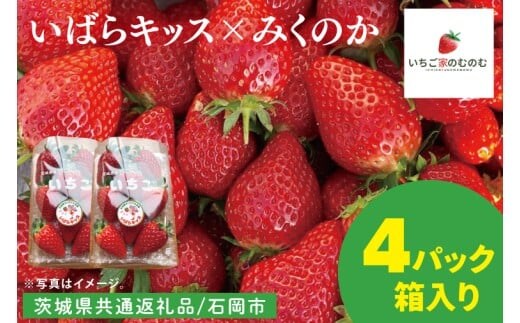 【数量限定】【離島配送不可】いばらキッス×みくのか 4パック/箱【茨城県共通返礼品/石岡市】【いちご イチゴ 苺 果物 くだもの フルーツ 茨城県】（LX-10）