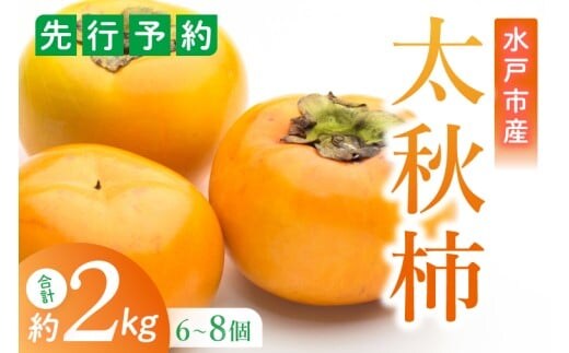 【2026年10月上旬より順次発送】【数量限定】太秋柿 約2kg（6-8玉）【フルーツ 果物 柿 甘柿 完熟 くだもの デザート おやつ 水戸市 茨城県】（MA-4）