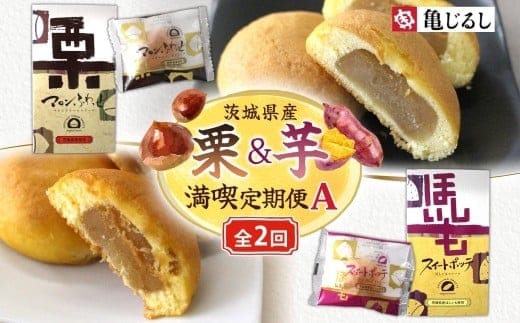 【2ヶ月定期便】亀印製菓 茨城県産栗＆芋満喫定期便A【マロンふわっせ スイートポッテ 栗 笠間栗 くり 干し芋 さつまいも 和 スイーツ デザート お菓子 おやつ 老舗 和菓子店 お取り寄せ ギフト お土産 手土産 贈答用 茨城県 水戸市】（MP-35）