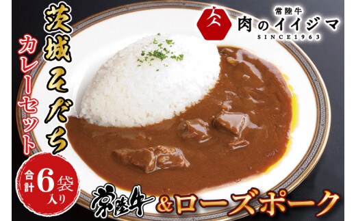 カレー レトルト 茨城そだちカレーセット 6食入り 常陸牛カレー＆ローズポークカレー 各3個 食品 ビーフカレー お返し お祝い お歳暮 プレゼント 食べ物 ギフト 【肉のイイジマ】 茨城県 水戸市 （DU-84）