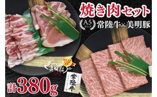 【常陸牛 A5ランク・美明豚焼肉セット】常陸牛カルビ180g＋美明豚200g（ロース100g・ばら100g） 冷凍 国産牛 和牛 牛肉 豚肉 ブランド豚 茨城県 水戸市 食べ比べ セット商品 国産 BBQ 10000円以内 老舗精肉店 EK-22
