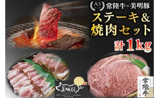 【常陸牛 A5ランク・美明豚ステーキ焼肉セット】常陸牛サーロイン600g（300g×２枚）＋美明豚400g（ロース200g・ばら200g） 冷凍 国産牛 和牛 牛肉 豚肉 ブランド豚 茨城県 水戸市 食べ比べ セット商品 国産 BBQ 35000円以内 老舗精肉店 EK-35