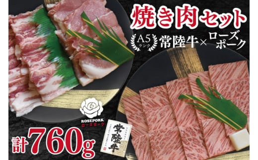 【常陸牛 A5ランク・ローズポーク焼肉セット】常陸牛カルビ360g＋ローズポーク400g（ロース200g・ばら200g） 冷凍 国産牛 和牛 牛肉 豚肉 ブランド豚 茨城県 水戸市 食べ比べ セット商品 国産 BBQ 20000円以内 老舗精肉店 EK-48