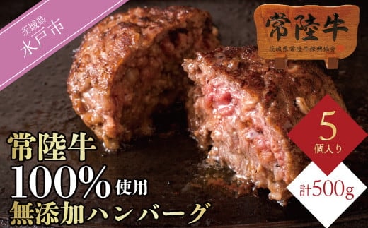 常陸牛100% ハンバーグ 無添加 5個 セット リピーター続出！ ギフト 食べ物 肉 10000円 手捏ね 焼くだけでレストランの味 冷凍 小分け お歳暮 ※離島への配送不可（北海道、沖縄本島は配送可能）（DU-6）