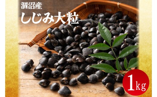 涸沼産 冷凍しじみ 大粒 1kg(200g×5p)（シジミ 大粒しじみ 直接仕入れ 砂抜き済み 砂抜き 小分け包装 味噌汁 みそ汁 茨城県】（CA-1）