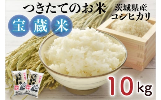 【令和7年産】茨城県産コシヒカリ 宝蔵米 10kg（5kg×2）【お米 米 菊池 こしひかり つきたてのお米 食味ランキング特A評価 茨城県 水戸市】（CZ-1002）