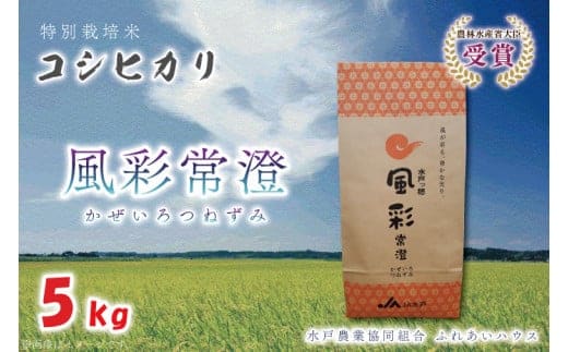 【令和7年産】特別栽培米コシヒカリ「風彩常澄」5kg 【最高 ランク 特A コシヒカリ 水戸市 オリジナル ブランド 農林水産省大臣賞受賞 減農薬 減化学肥料 栽培 ふっくら 美味しい お米 ご飯】（FC-101）