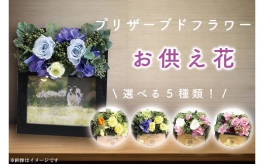 【色が選べる】プリザーブドフラワー 仏壇【仏花 ペット お供え フォトフレーム 写真立て アレンジメント 供花 屋内墓地 喪中はがきが届いたら】（DR-22）