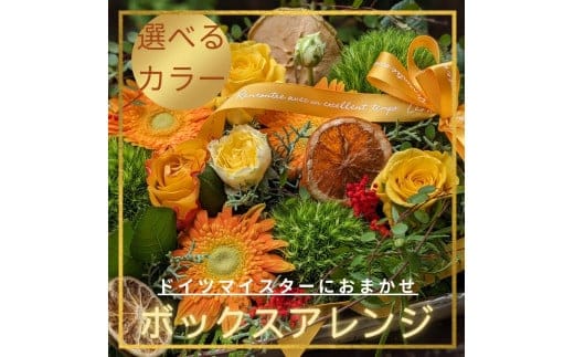 BOXアレンジ【ボックスアレンジ サプライズ 箱アレンジ フラワーアレンジ 花 お花 贈り物 誕生日 送別 母の日 ホワイトデー プロポーズ】（DR-23）