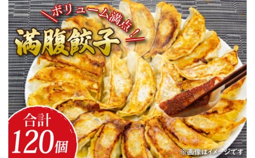 リピーター続出！ボリューム満点！満腹餃子120個（３kg ）【老舗 大容量 国産 焼き餃子 冷凍 ぎょうざ ギョーザ 冷凍餃子 簡単調理 惣菜 おかず 水戸市 水戸 茨城県 10000円以内 1万円以内】（EJ-13）