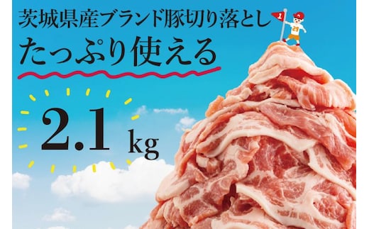 【数量限定】リピーター続出！茨城県産ブランド豚切り落とし2.1kg (300g×7p)【肉 豚肉 切り落とし 小分け 真空 真空パック 茨城県産 肉料理 肩ロース ウデ モモ バラ 水戸市 水戸】（EC-4_1）