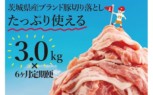 【数量限定】【6か月定期便】リピーター続出！茨城県産豚ブランド切り落とし計18kg(３kg×6回)【肉 豚肉 切り落とし 小分け 真空 真空パック 茨城県産 肉料理 肩ロース ウデ モモ バラ 水戸市 水戸】（EC-103）