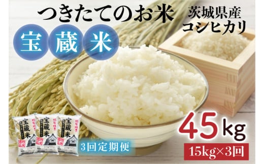 【3ヶ月定期便】【令和7年産】茨城県産コシヒカリ 宝蔵米 15kg×3回【お米 米 菊池 こしひかり つきたてのお米 食味ランキング特A評価 茨城県 水戸市】（CZ-906）